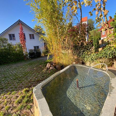 Pia'S Nature Retreat Neukirch  Zewnętrze zdjęcie