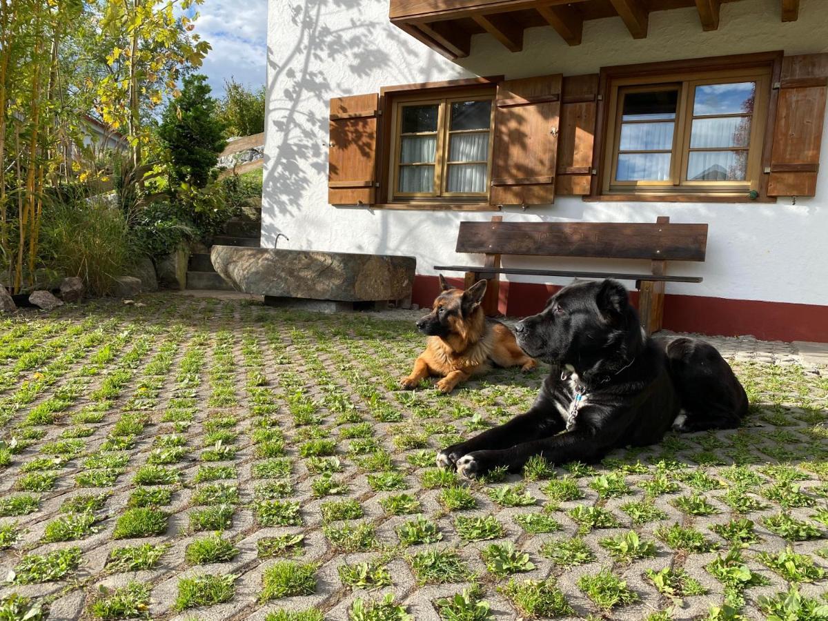 Pia'S Nature Retreat Neukirch  Zewnętrze zdjęcie
